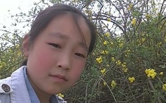 桃花社区在线观看视频